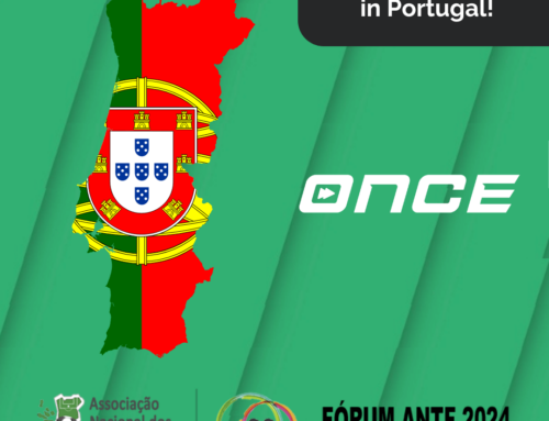 Erkundung der portugiesischen Fußballszene: Eine Reise mit Once Sport